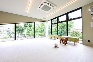 獣医師と愛玩動物看護師の知恵で、大切な家族の毎日を元気に・10/11(土)　動物行動診療獣医師による愛犬の性格チェック